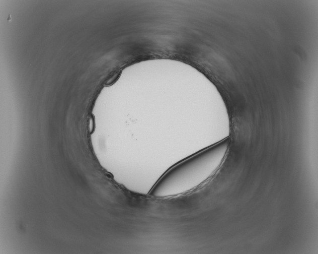 X0000113351057200910131235