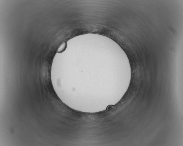 X0000113351058200910131235