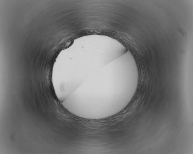 X0000113351060200910131235