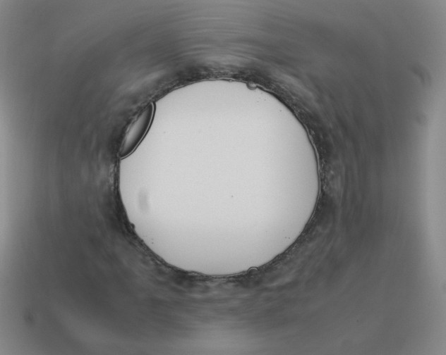 X0000113351061200910131235