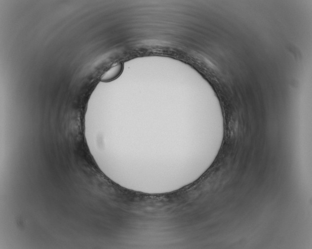 X0000113351062200910131235