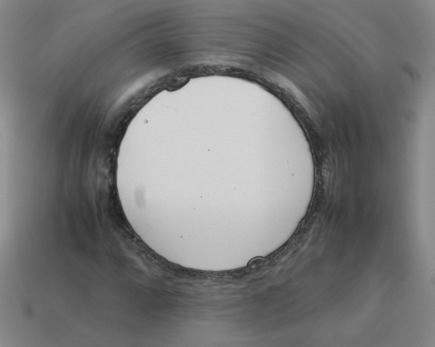 X0000113351064200910131235