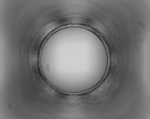 X0000113351065200910131235