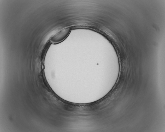 X0000113351067200910131235