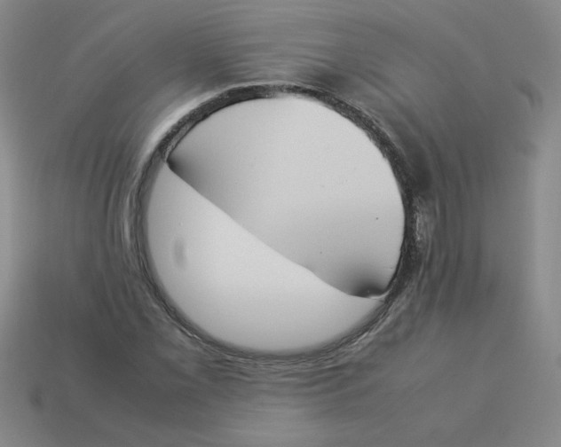 X0000113351069200910131235