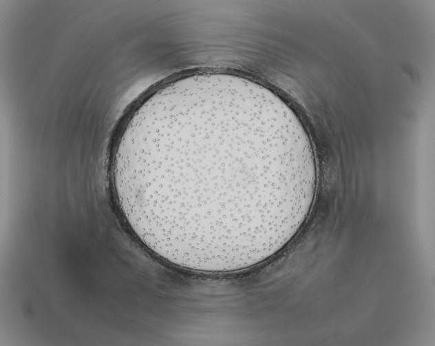 X0000113351071200910131235