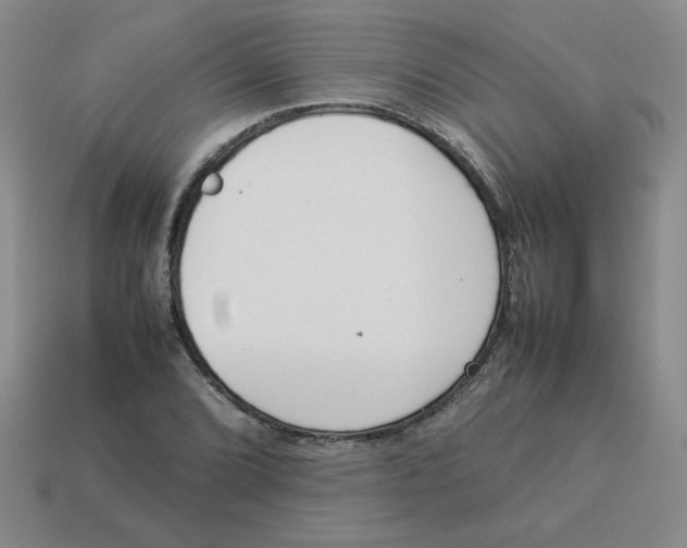 X0000113351072200910131235