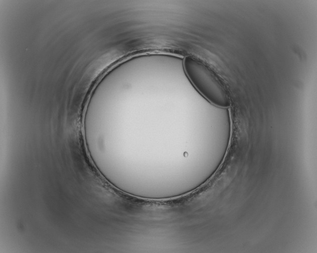 X0000113351073200910131235