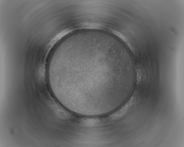 X0000113351074200910131235