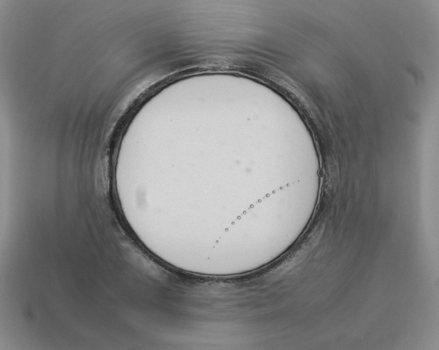 X0000113351075200910131235