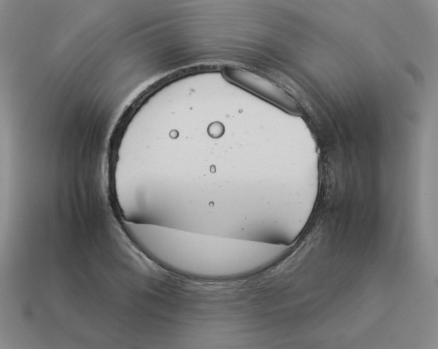 X0000113351076200910131235