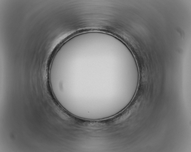 X0000113351077200910131235