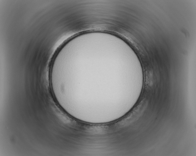 X0000113351078200910131235