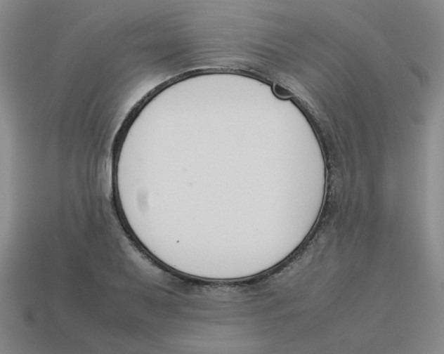 X0000113351079200910131234