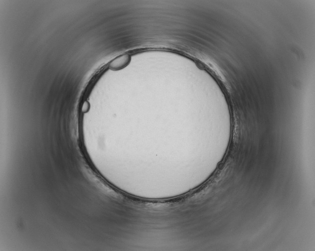 X0000113351080200910131234