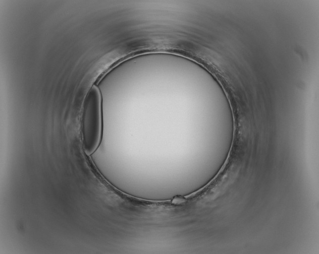 X0000113351081200910131234