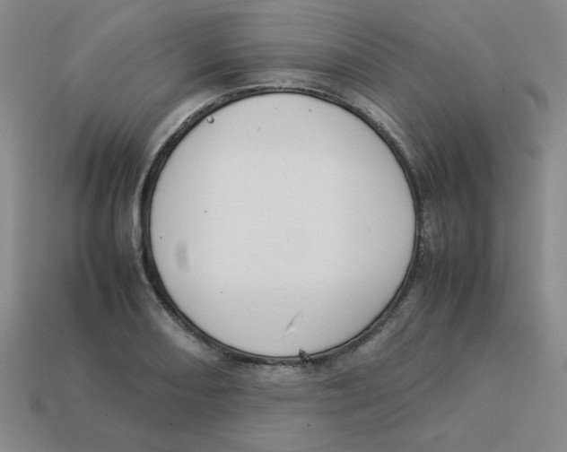 X0000113351082200910131234