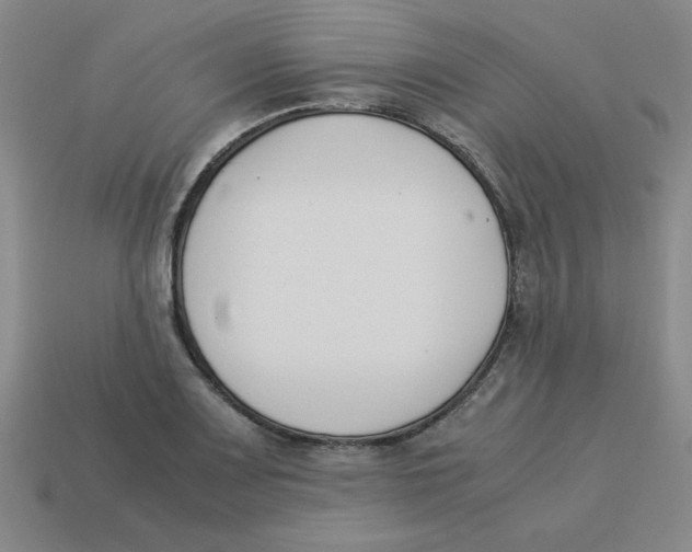 X0000113351083200910131234