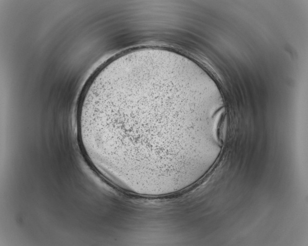 X0000113351084200910131234