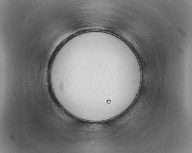 X0000113351085200910131234