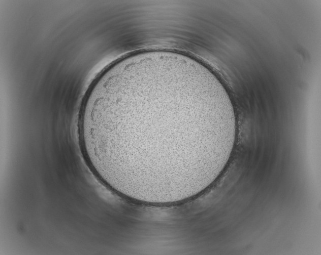 X0000113351086200910131234