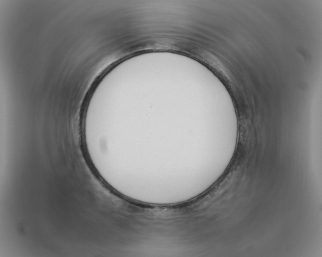 X0000113351087200910131234