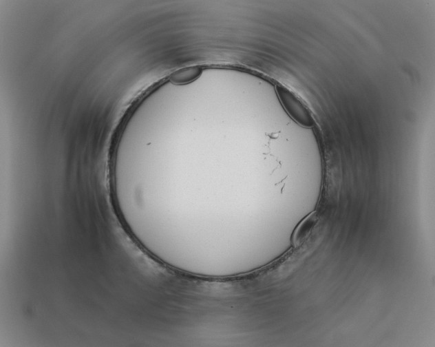 X0000113351088200910131234