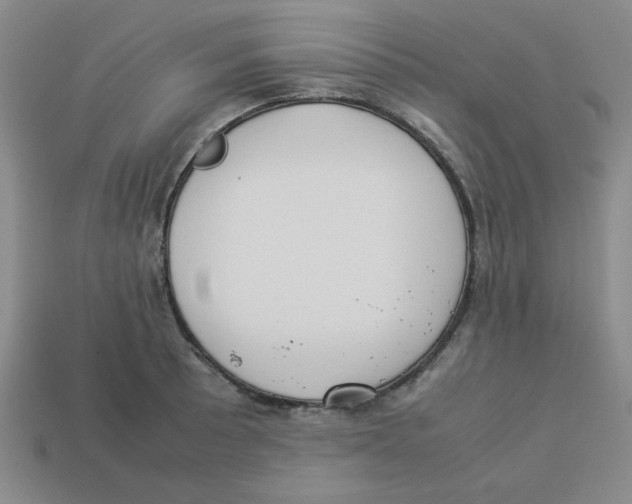 X0000113351089200910131234