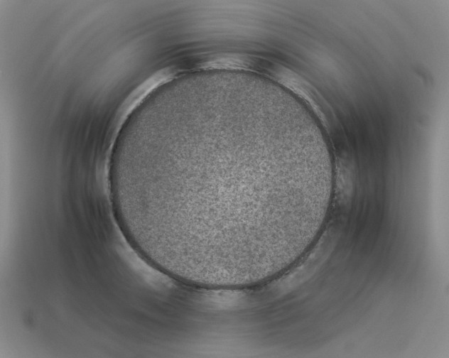 X0000113351090200910131234