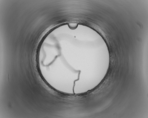 X0000113351091200910131234