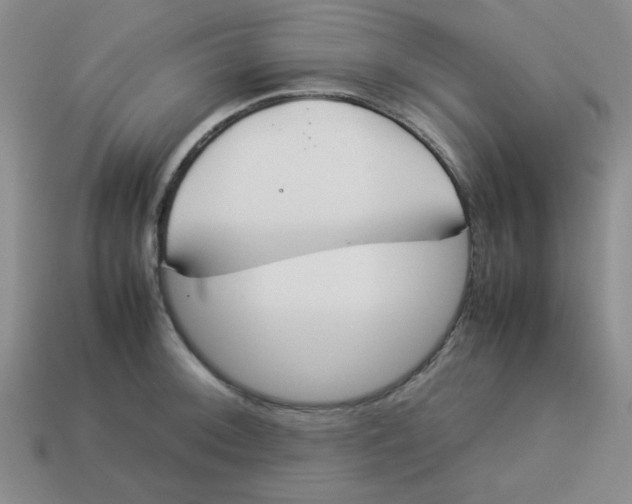 X0000113351092200910131234