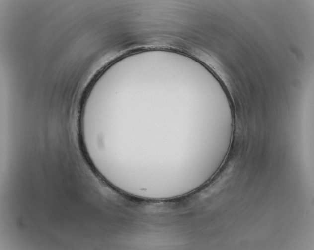 X0000113351093200910131234