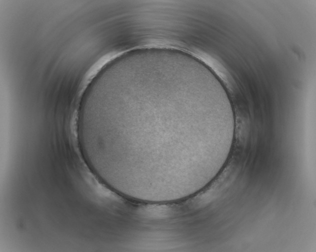 X0000113351094200910131234