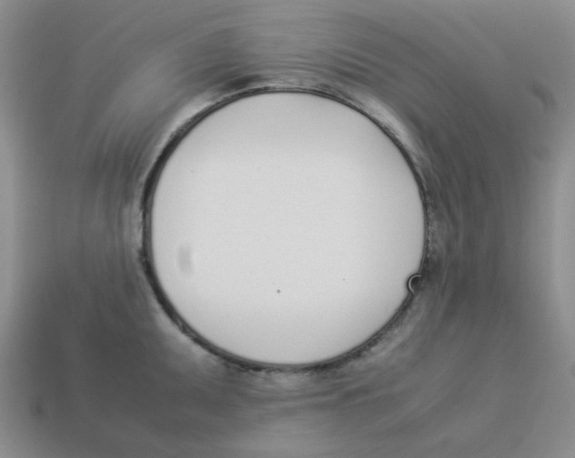 X0000113351095200910131234