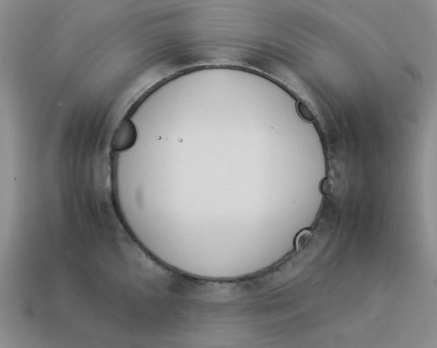 X0000113351096200910131234