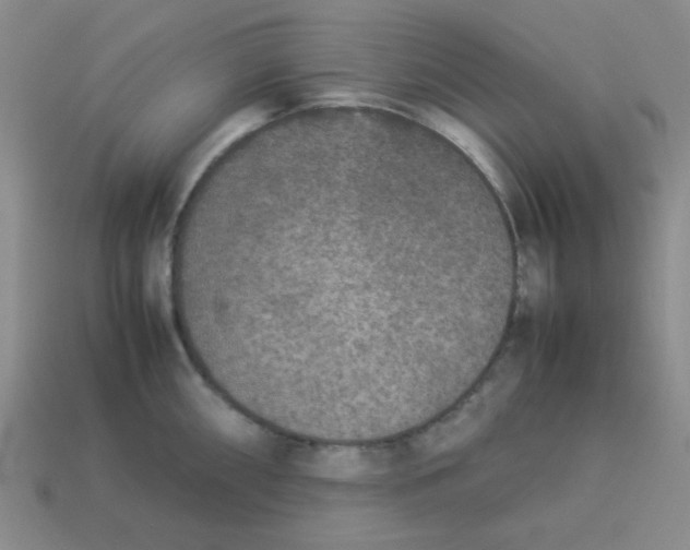 X0000113351098200910131234