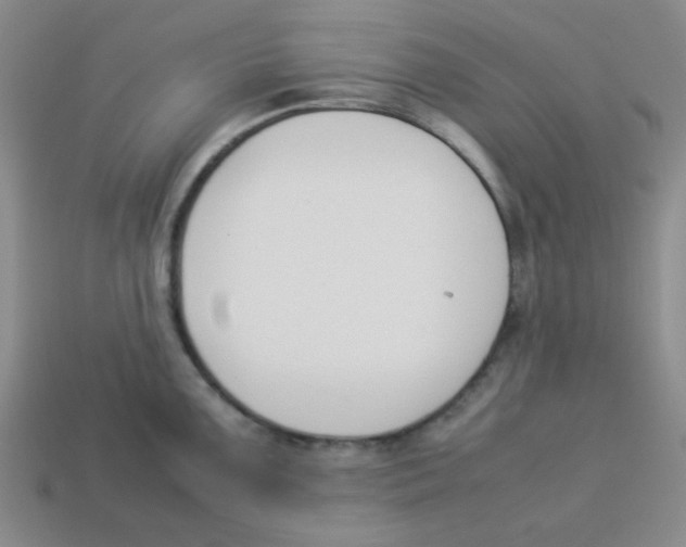 X0000113351099200910131234