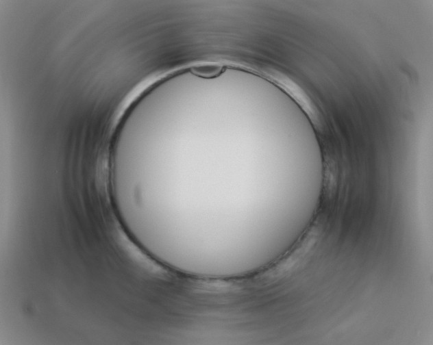 X0000113351100200910131234