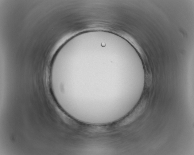 X0000113351101200910131234