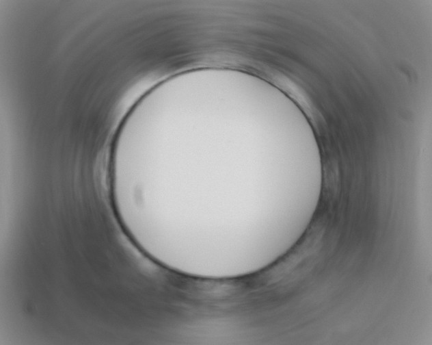 X0000113351103200910131234