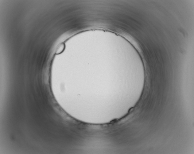 X0000113351104200910131234