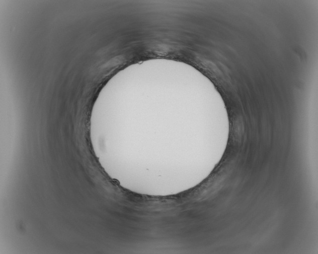 X0000113351105200910131234