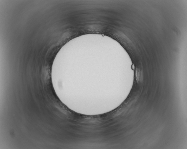 X0000113351107200910131234