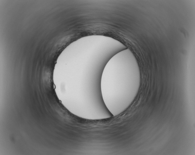 X0000113351108200910131234