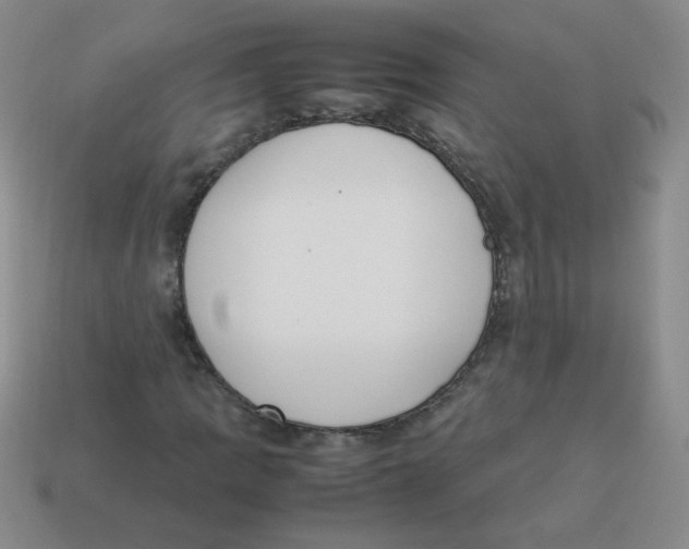 X0000113351109200910131234