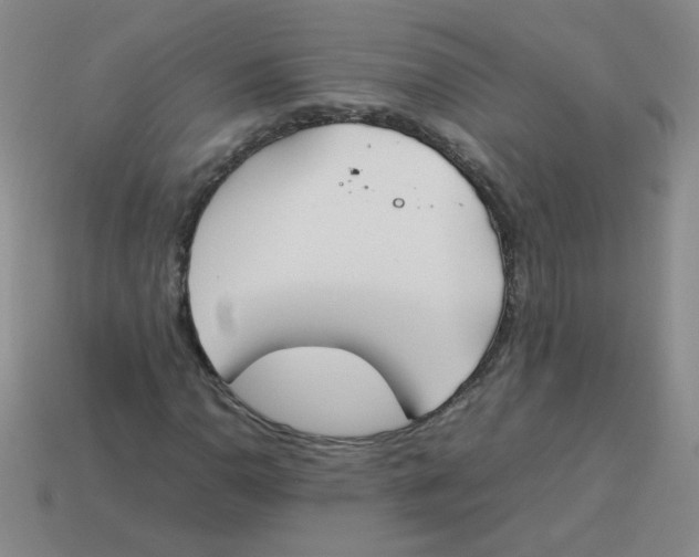 X0000113351110200910131234