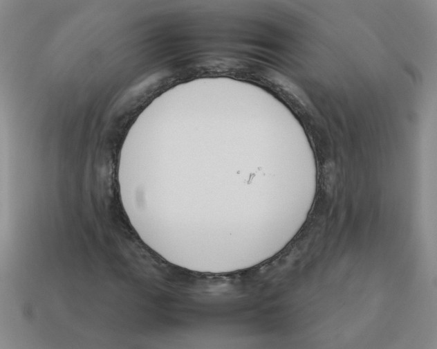 X0000113351111200910131234