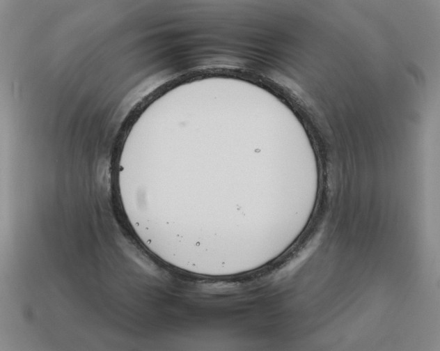 X0000113351113200910131234