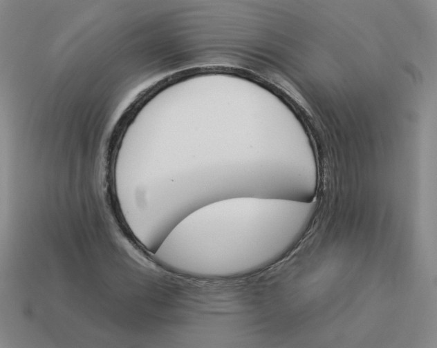 X0000113351116200910131234