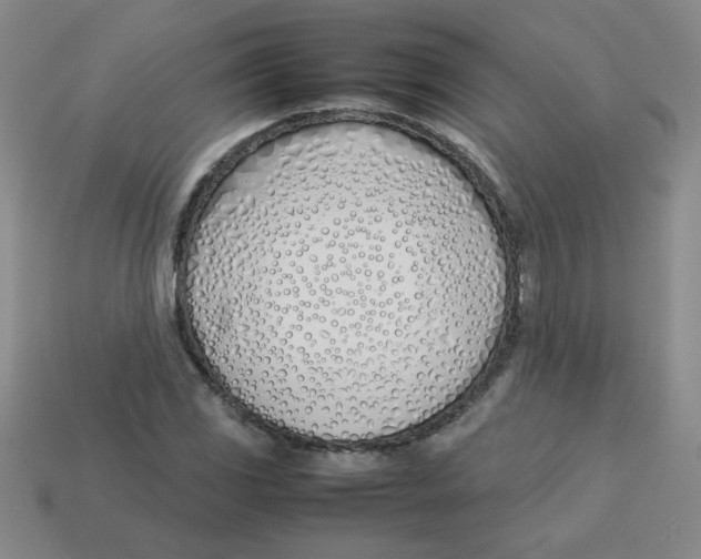 X0000113351117200910131234